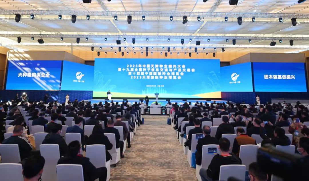 敦煌種業(yè)公司:播撒“希望種” 耕耘“夢想田”